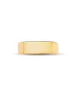 Hudson Signet Ring in 18k Gold Vermeil